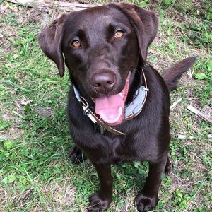 Meet your Posher, Jackie